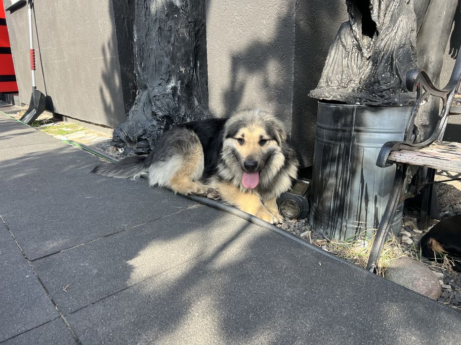 Cudowny chlopak o niezwyklej urodzie