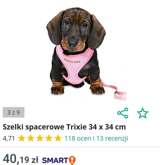 szelki dla malego psa