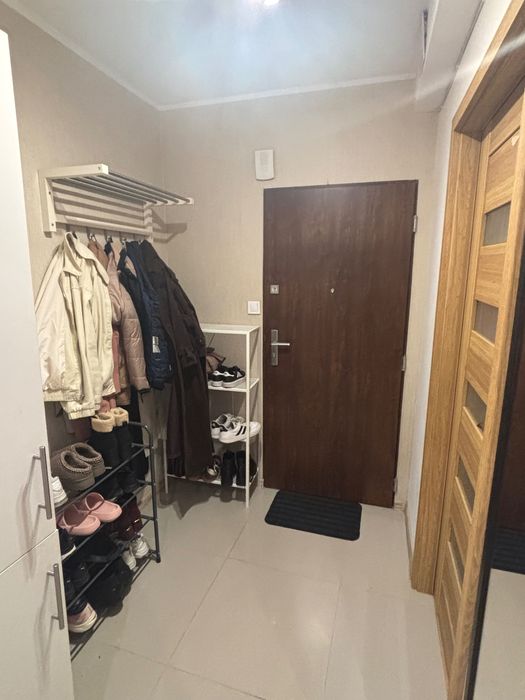 Pokój jednoosobowy na wynajem