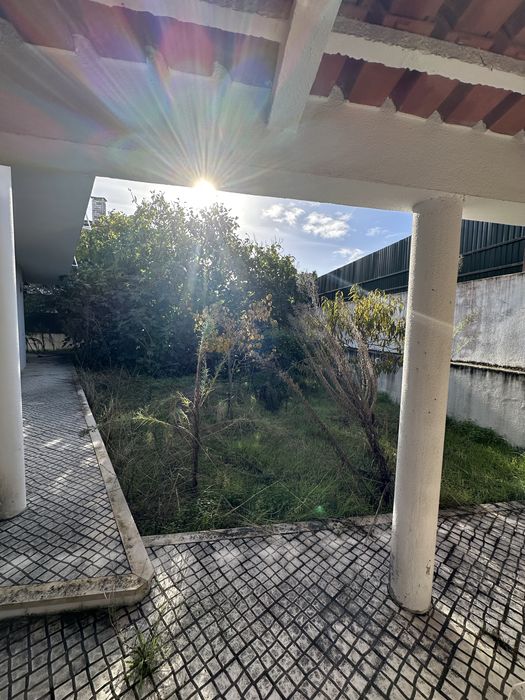 Serviço de Jardinagem, Desmatação e Limpeza de Terrenos