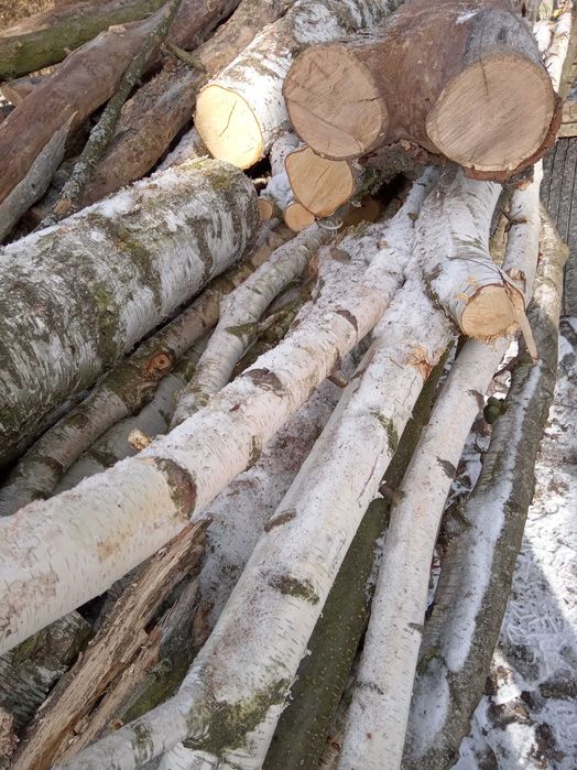 Drewno opałowe mieszane