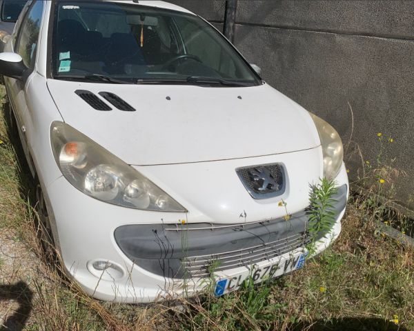 Para peças PEUGEOT 206+ (T3E)