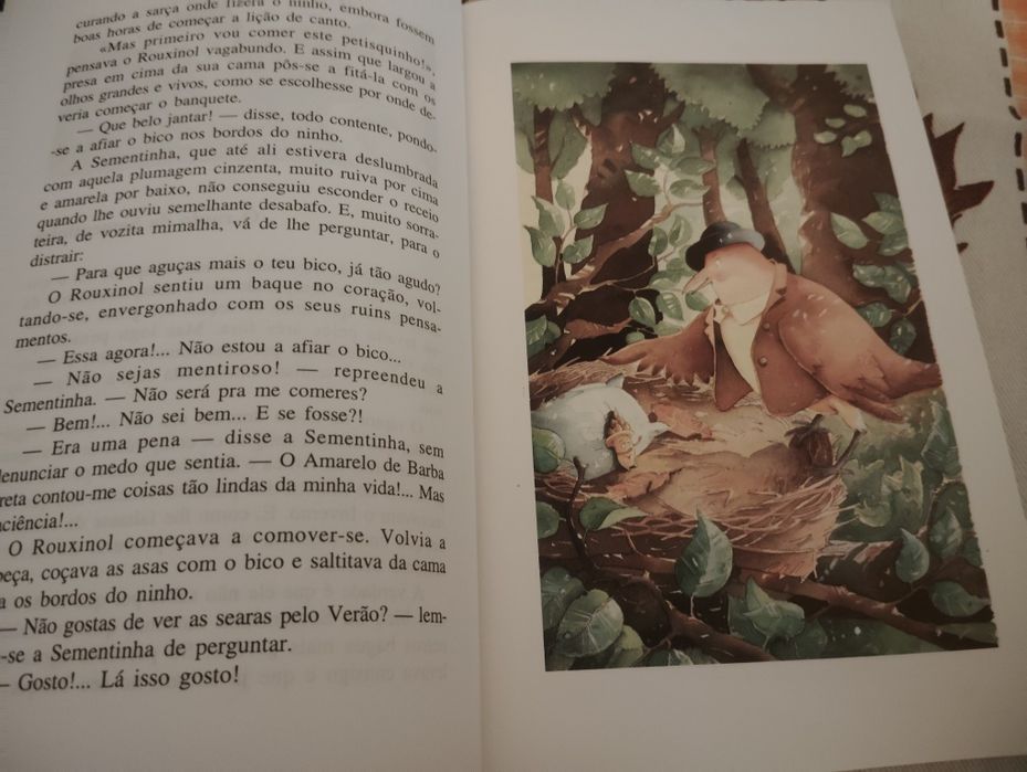 Livros Juvenis Usados