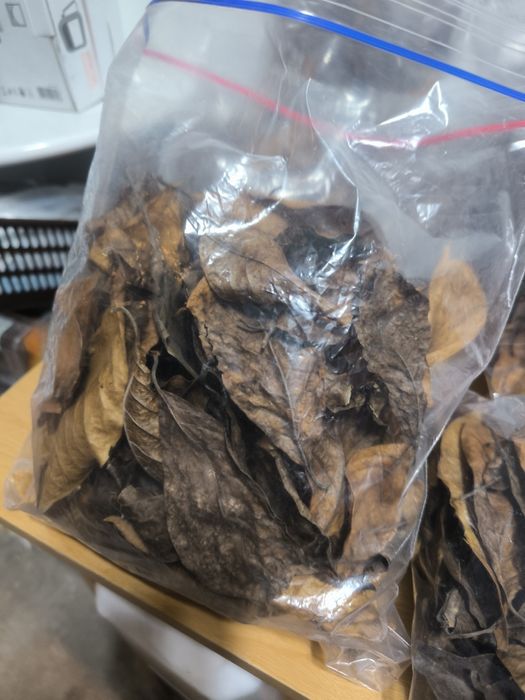 Liście suszone worki 3,6L akwarium terrarium paludarium wystrój