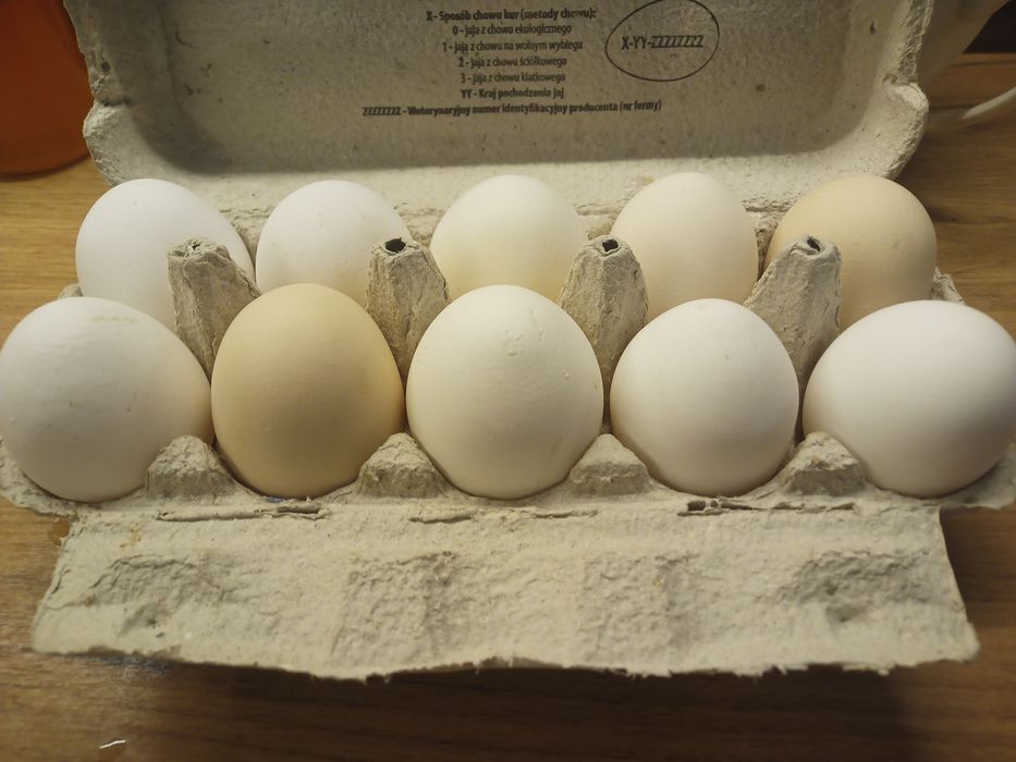 Jajka swojskie świeże