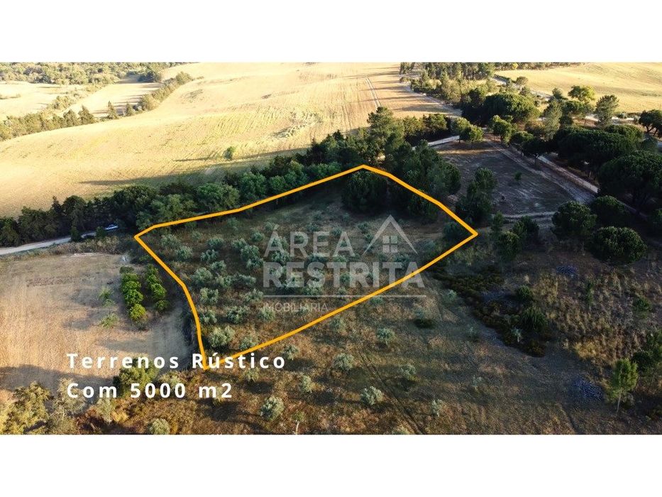 Terreno 5000 m2 -Canha com viabilidade de construção 500 m2 — Canha, Setúbal