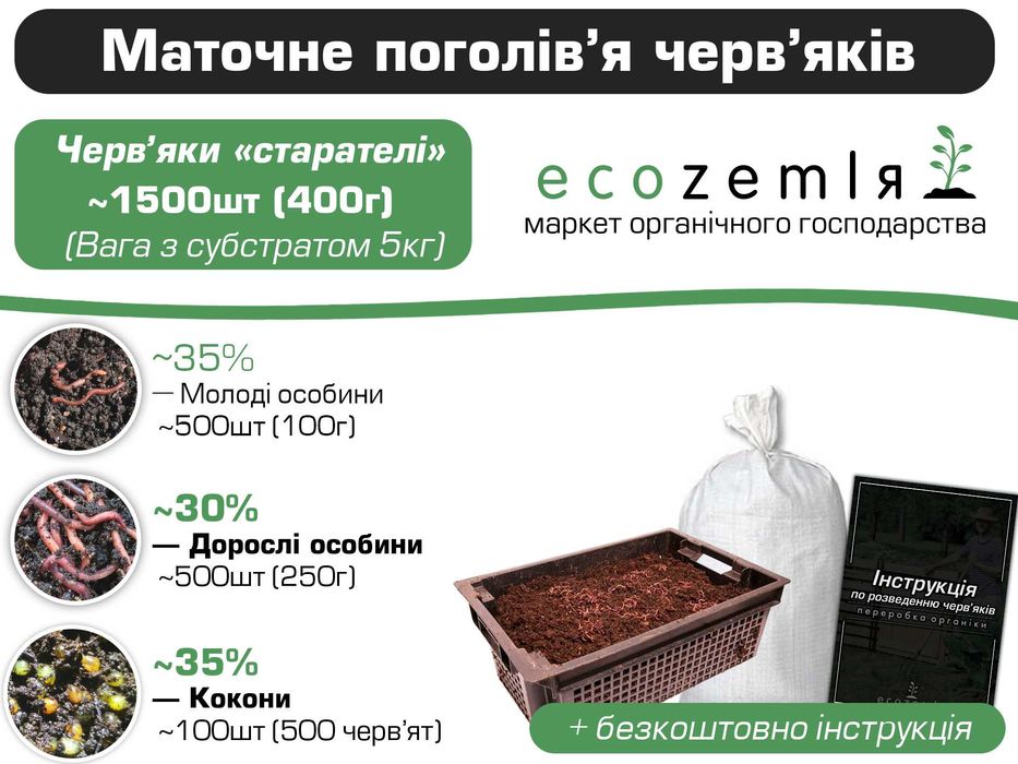 Сім'я 1500шт Черви для біогумусу та рибалки Старатель як каліфорнійскі