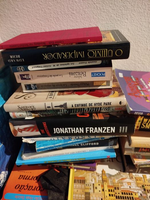 Lote de 505 livros