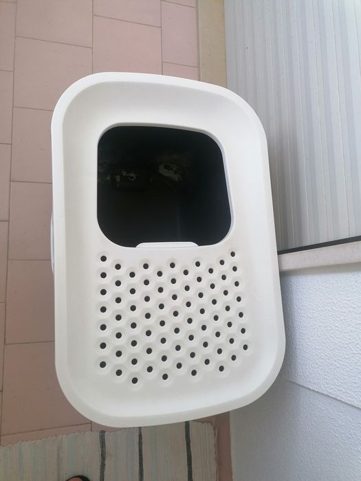 Caixa areia gato