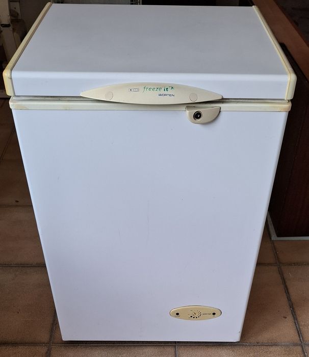 Frigorifico+Arca congeladra (tudo disponível)