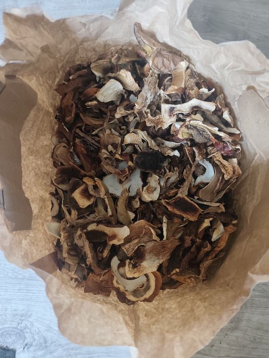 Sprzedam grzyby suszone