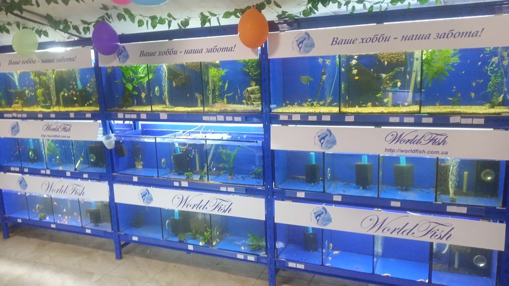 Аквариумы новые 22л,34л, 52л, 54л, 65 аквариумные рыбки