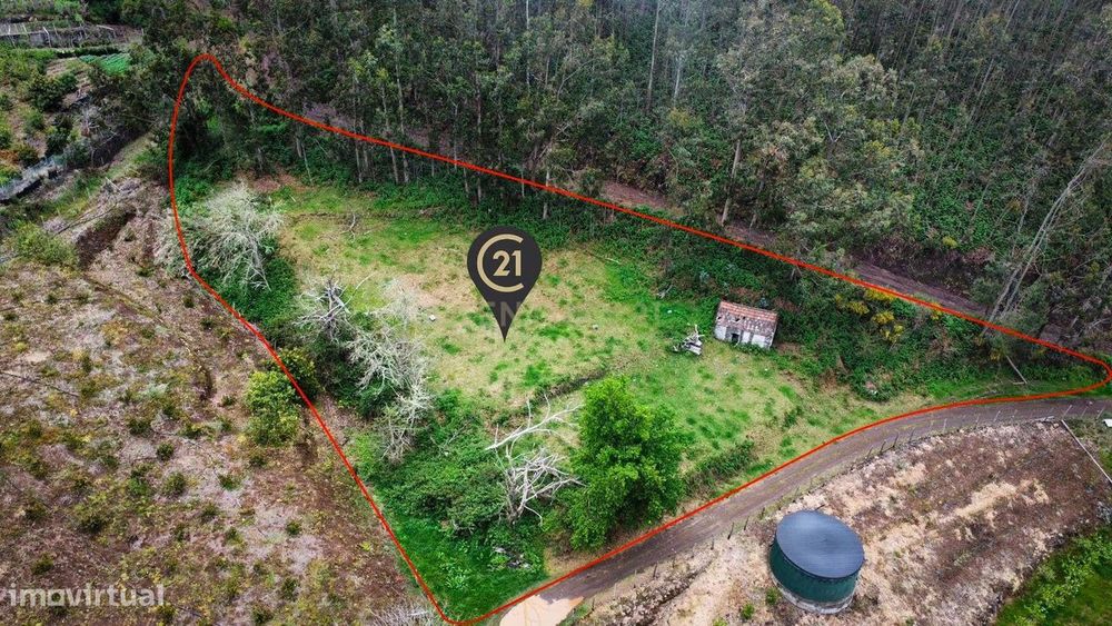 Oportunidade Exclusiva na Madeira – Terreno com 3.796 m² nos Canhas, P