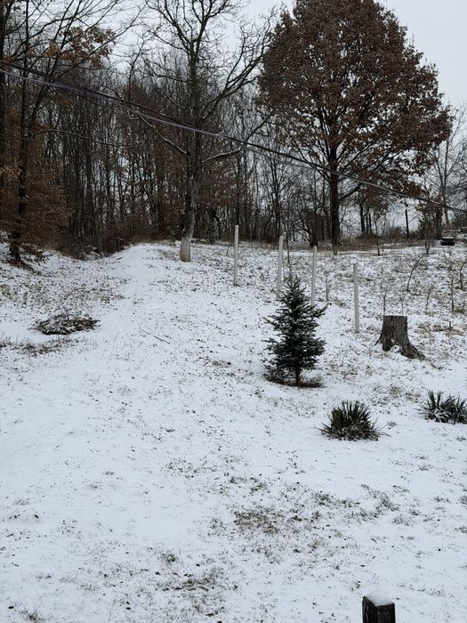 Оренда будинку в смт. Тересва