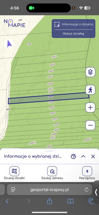 Las w Czosnówce nr działek : 1819,1873 o łącznej powierzchni 0,52 ha - Widok 3