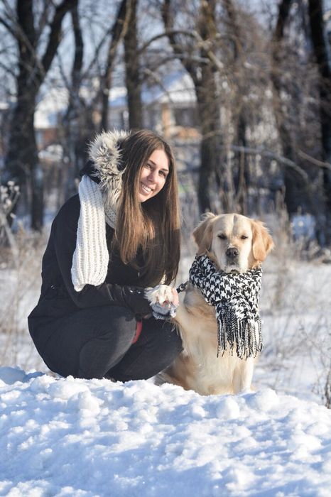 Зоогостиница .Отель для собак.Передержка животных/отель для животных