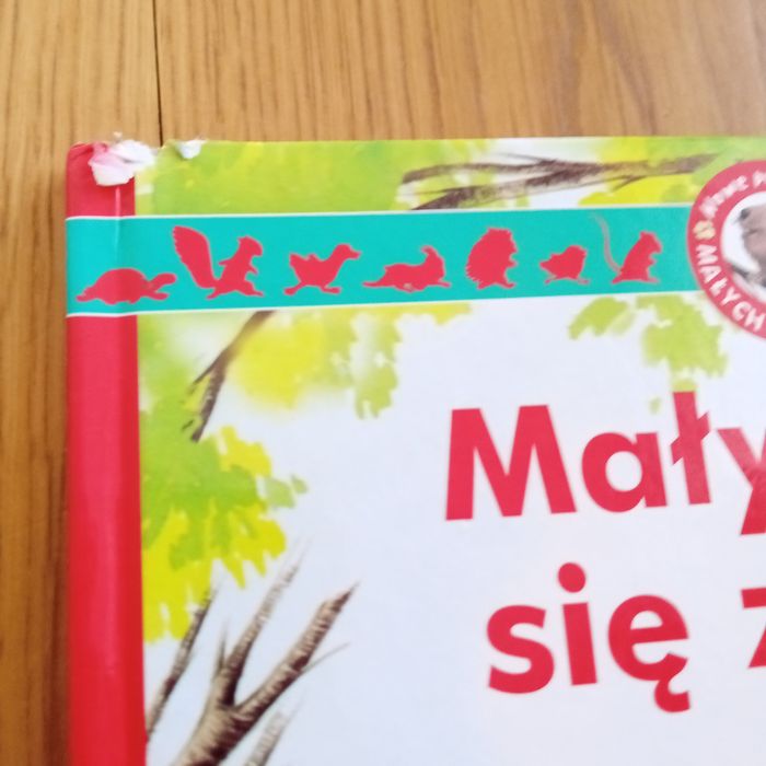Książeczki dla dzieci opowieści o przygodach zwierząt.