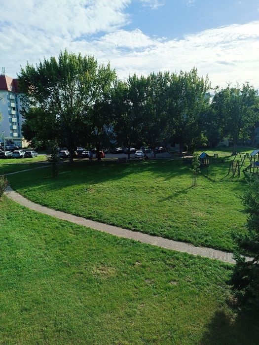 Zdjęcie 7