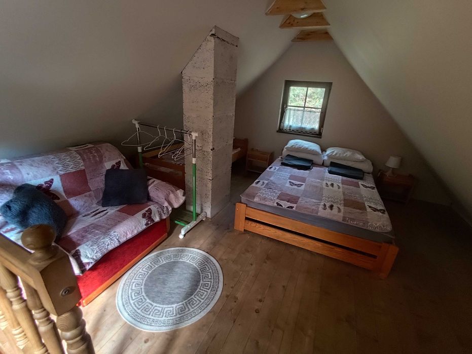 Kaszuby domek Wiktor wolne terminy w sierpniu, last minute, jezioro
