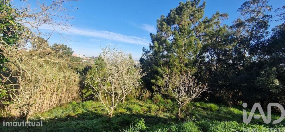 Terreno Agrícola em Mafra
