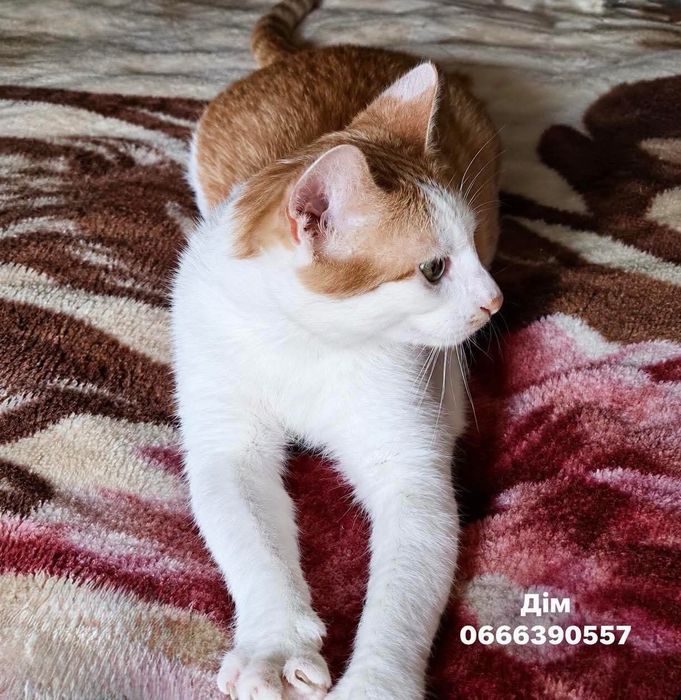 Хлопчик 4-5 місяців