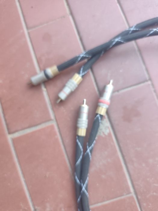 Chinch 2xRCA Klotz