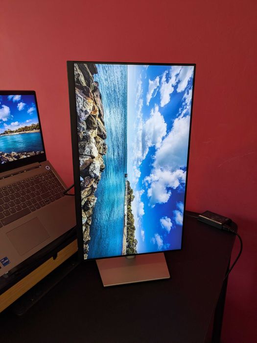 Monitor DELL P2422H