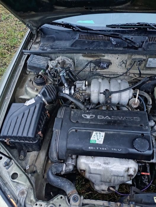 Део ланос (поляк)торг