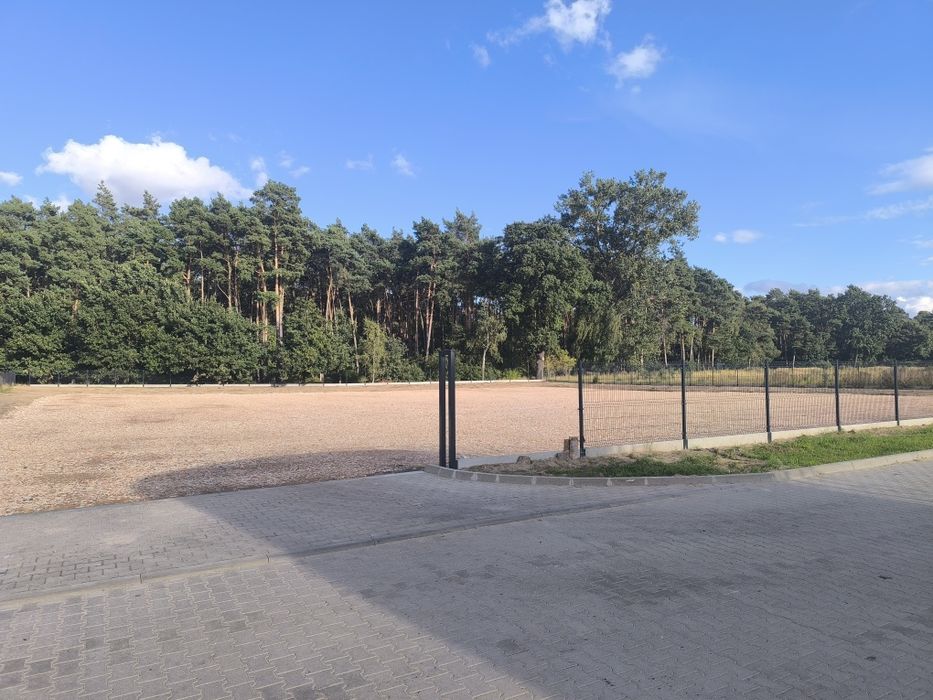 Zdjęcie 7