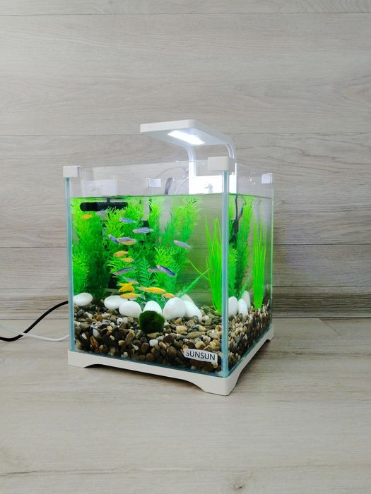Акваріумний комплект з рибками 10л | Все включено | Доставка по Києву