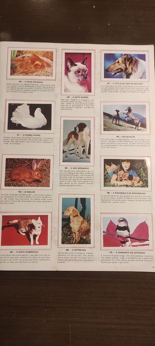 Caderta de cromos completa