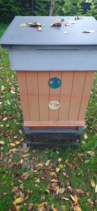 Sprzedam ule wielkopolskie