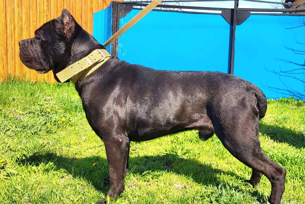 Хлопчик чекає зустрічі