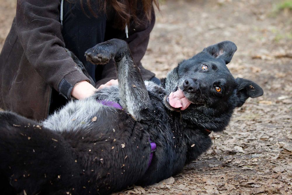 Malina-cud dziewczyna [FILM]
