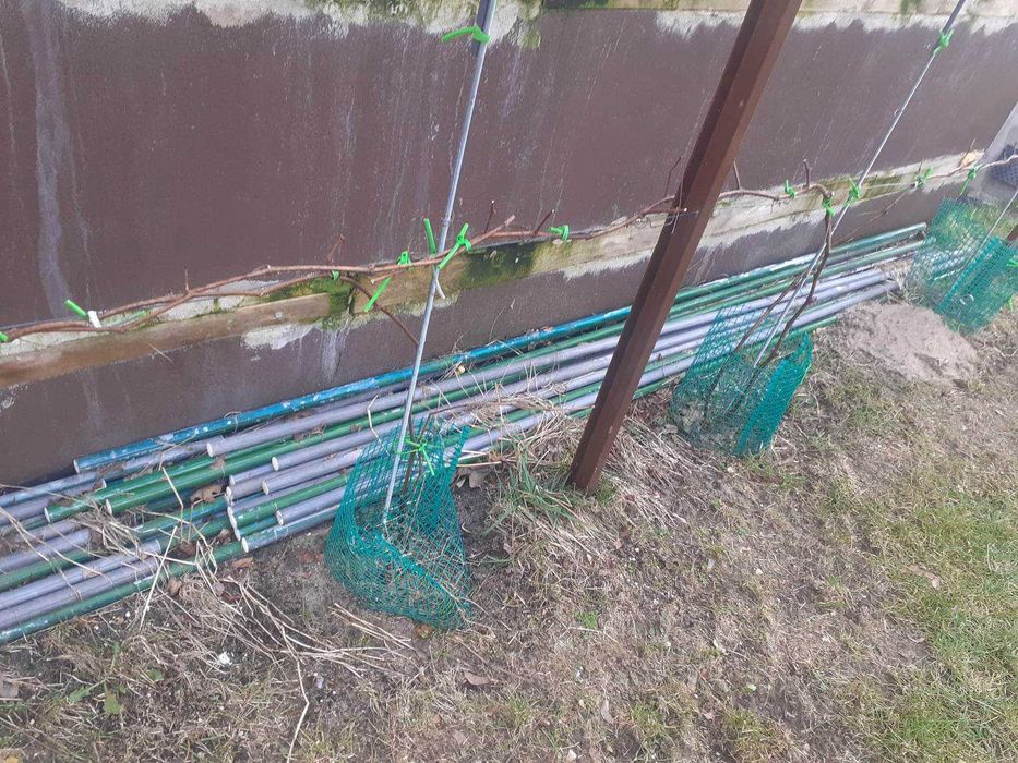 Paliki, tyczki ogrodnicze ,  metalowe, sadownicze