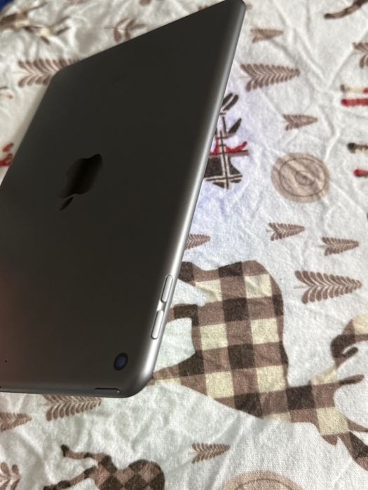 IPad Mini 5 256 Gb Space Gray
