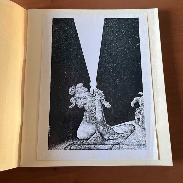 Gastão Cruz - Órgão de Luzes (1.ª edição, 1981)