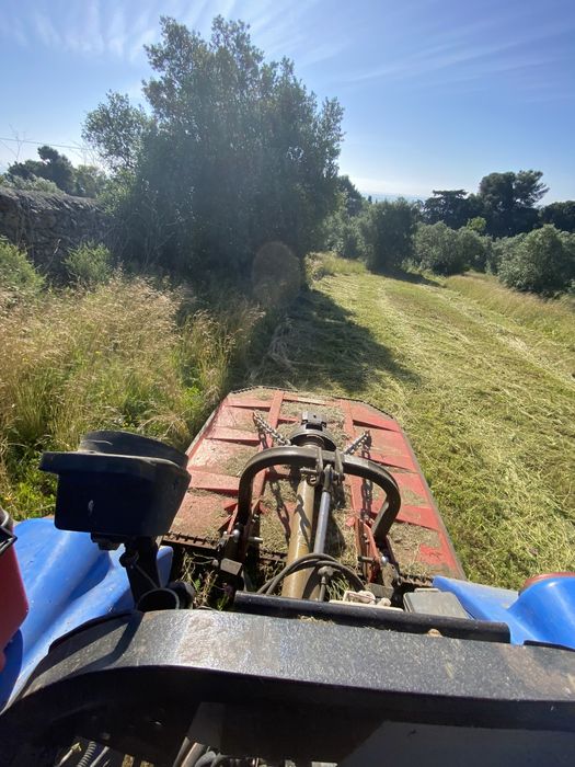 Servicos de mini giratória, limpeza de terrenos.