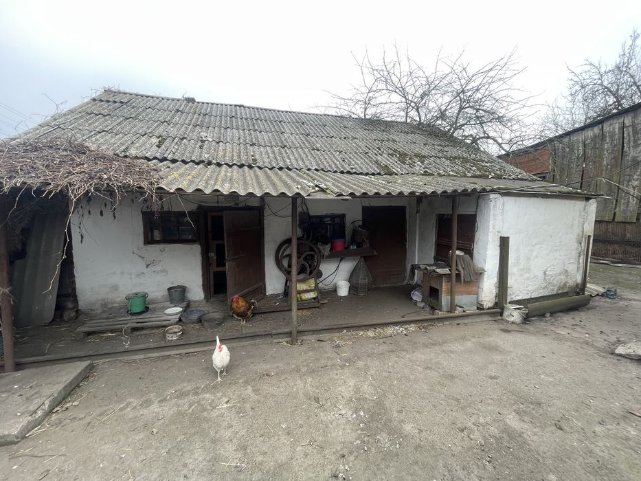 Добротна садиба , індивідуальне опалення , велика ділянка