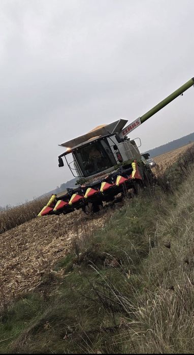 Koszenie kukurydzy, zbóż, słonecznika