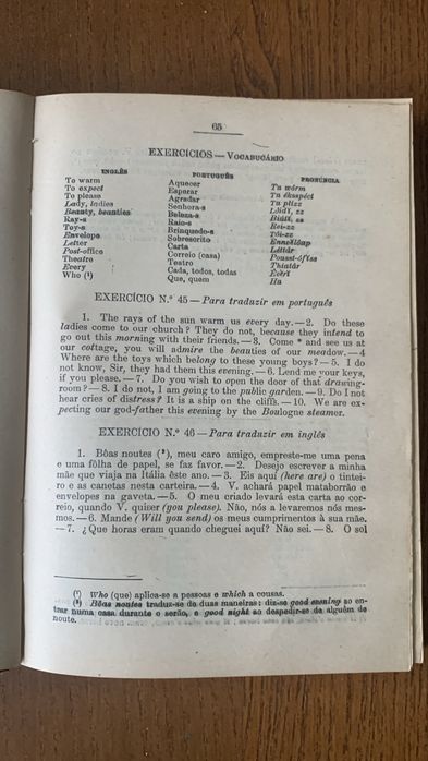 O inglês sem mestre