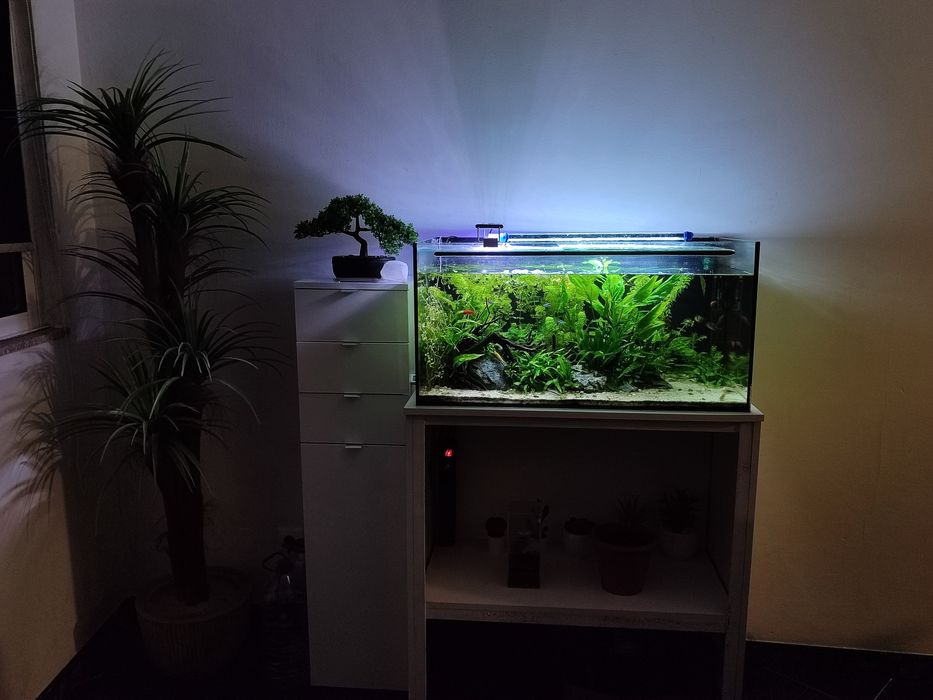 Aquário completo com móveis + equipamento + peixes