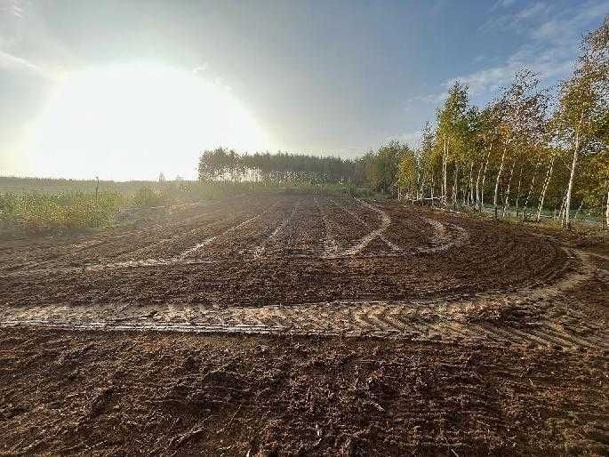 Mulczer leśny Wycinka drzew mulczowanie terenu oczyszczenie dzialek