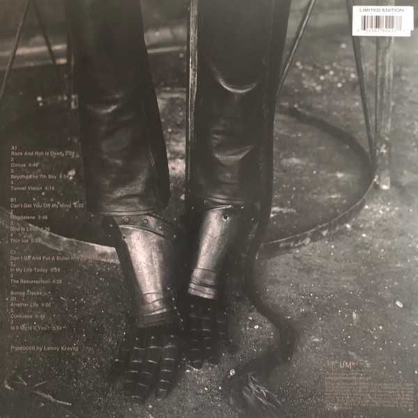 Lenny Kravitz Vinil