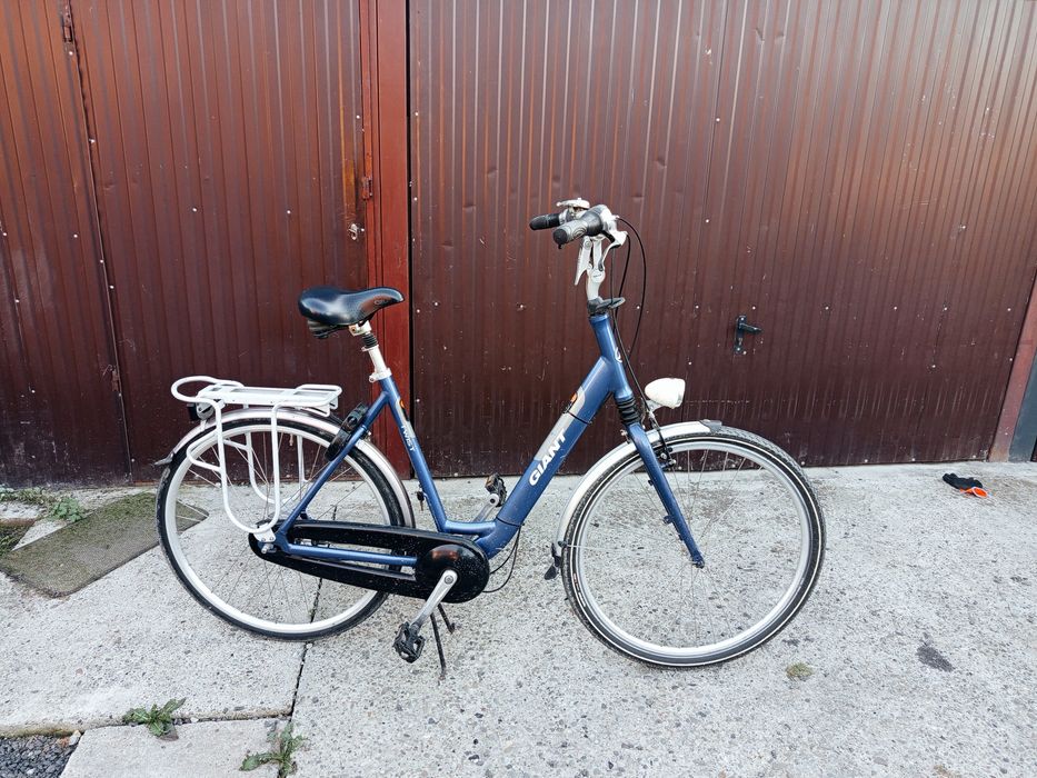 Rower holenderski Giant