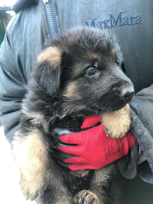 Акція - розпродаж!