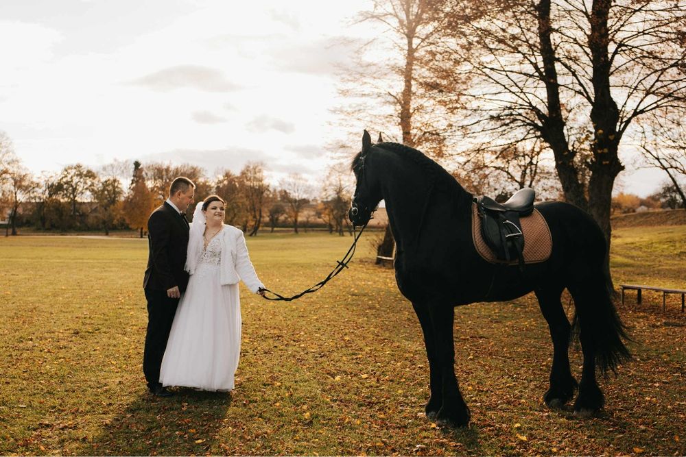 Bryczka do Ślubu Zakopane Katowice Warszawa