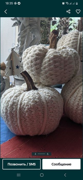 Гарбузовий корінчик натуральний для декору