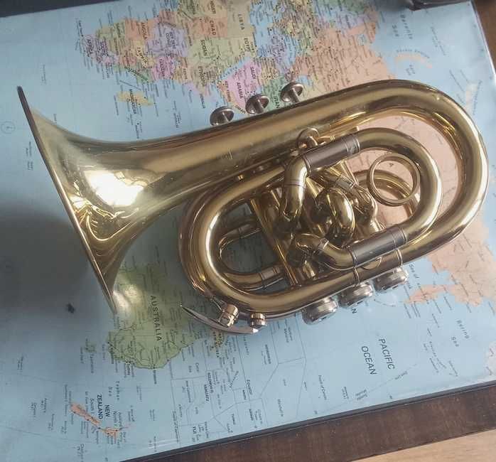Trąbka Roy Benson PT-302 pocket trumpet kieszonkowa
