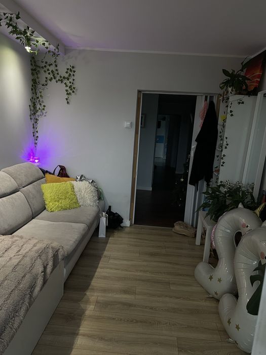 Apartment in Wrocław, Żerniki - Widok 3